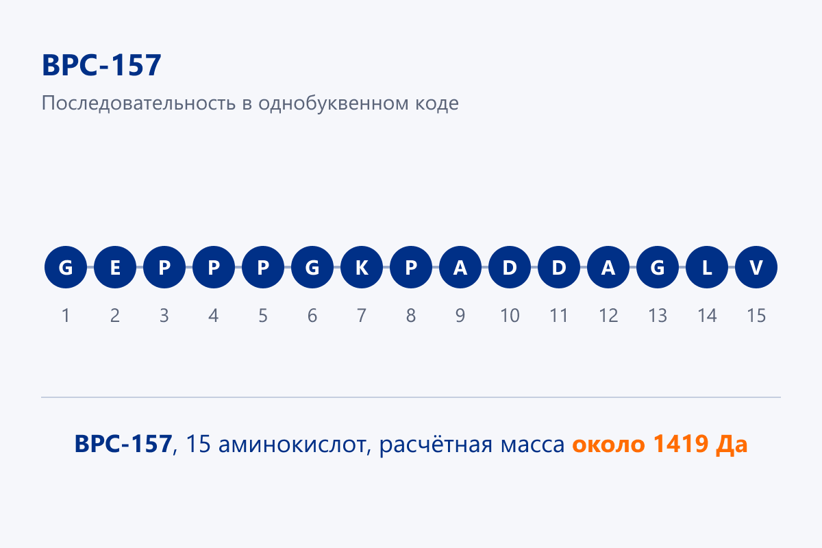 Схема из 15 аминокислот пептида BPC-157 в однобуквенном коде
