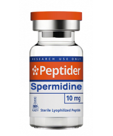 Spermidine Spermidine